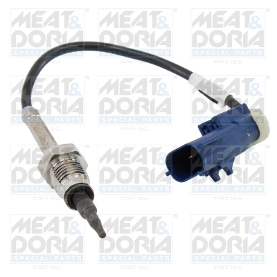 Sensor, exhaust gas temperature